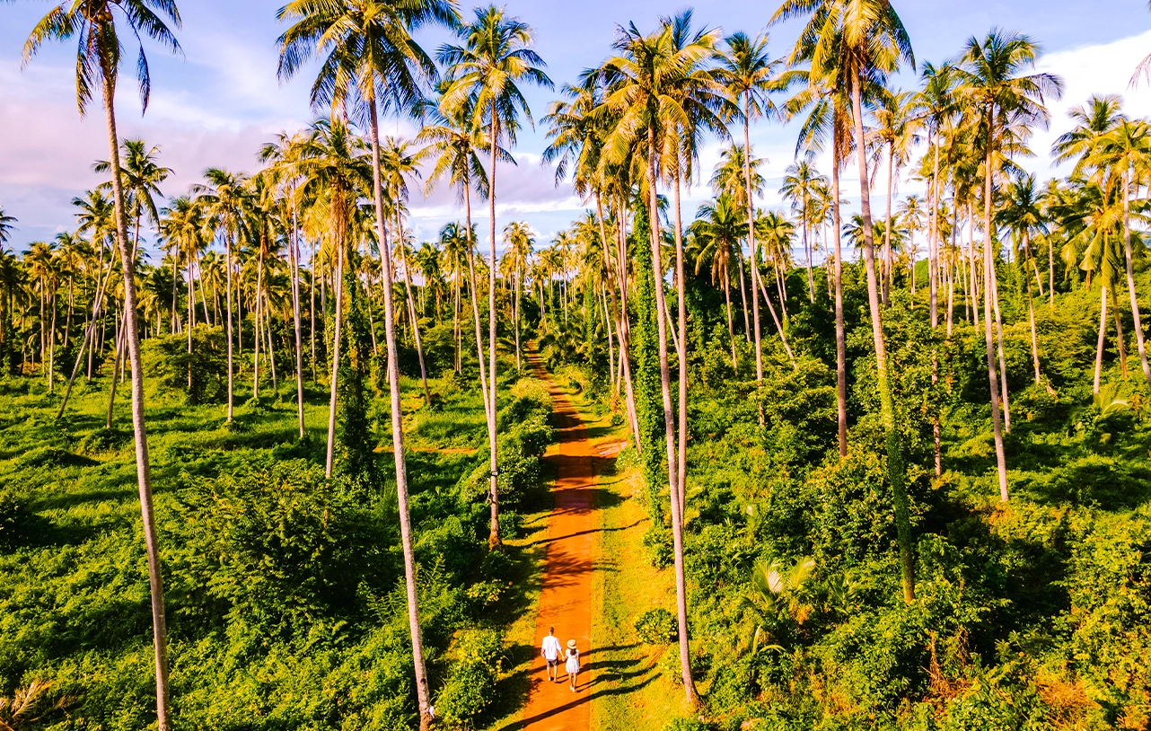 Fixed Departures: Kandy, Nuwara Eliya, Bentota & Colombo Tour